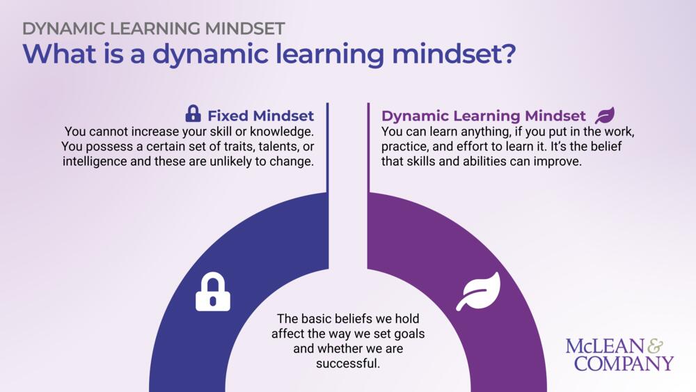 Equip Managers to Foster a Dynamic Learning Mindset preview picture