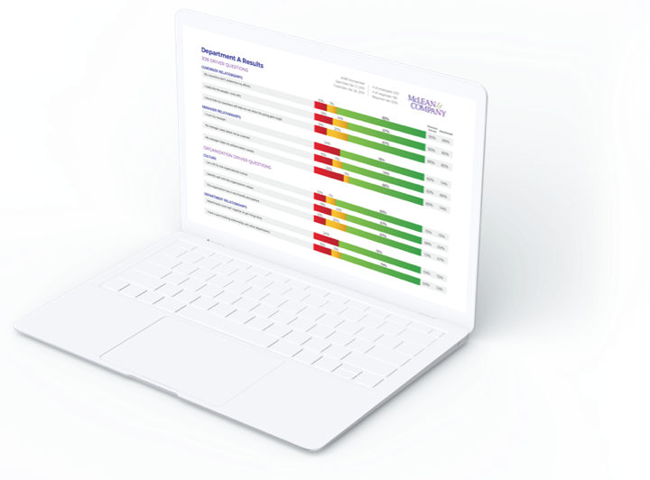 Diversity, Equity, and Inclusion Engagement Pulse Report Example