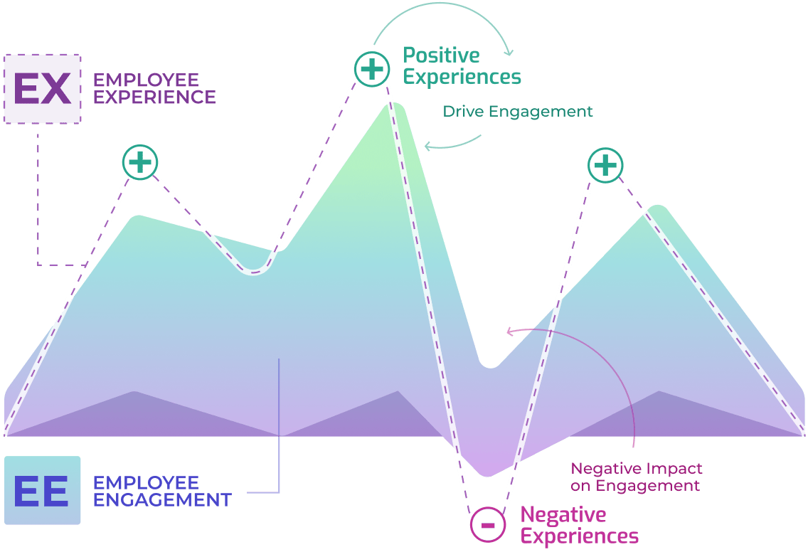 HR time distribution across activities