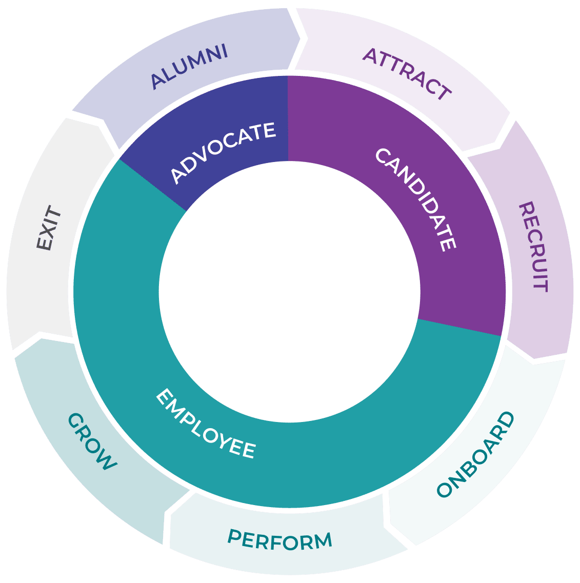 MCO Taxonomy Wheel